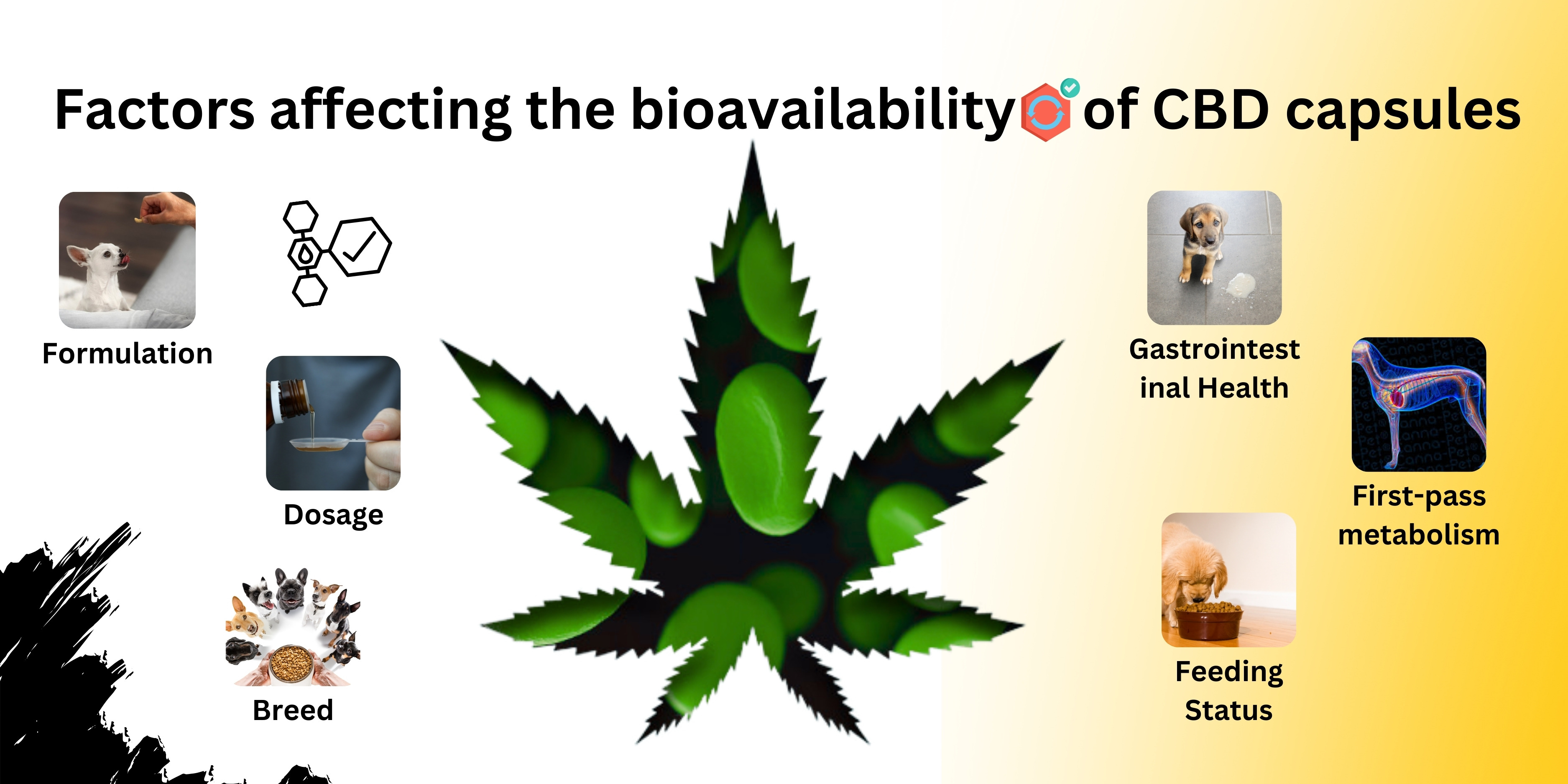 cbd capsules